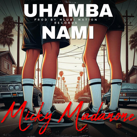 Uhamba Nami album art