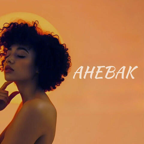 Ahebak album art
