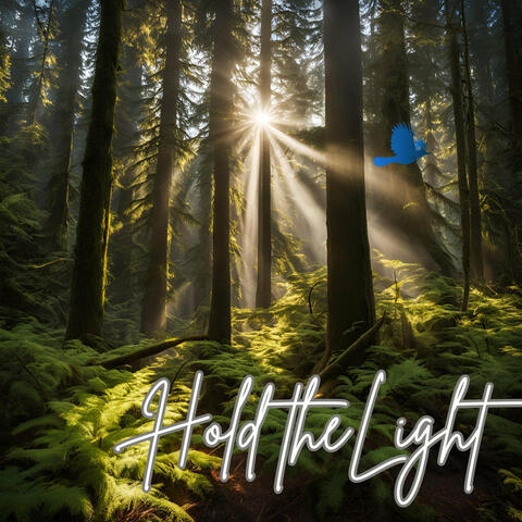 Hold the Light album art