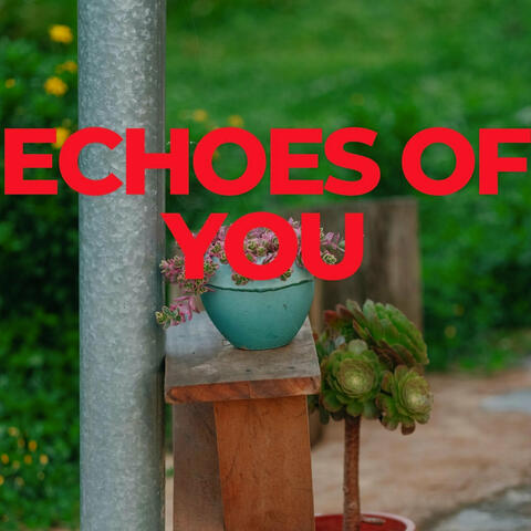 Echoes of You album art