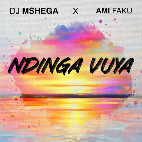 Ndinga Vuya album art