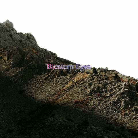 Blossom Eyes album art