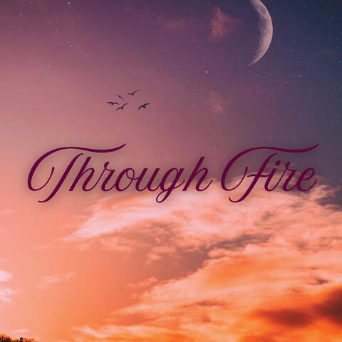 Through Fire album art