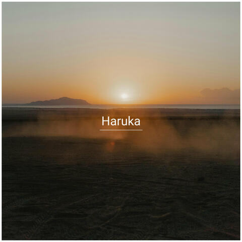 잠깐의 고립 album art