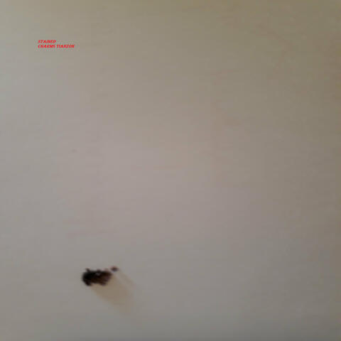 Stained album art