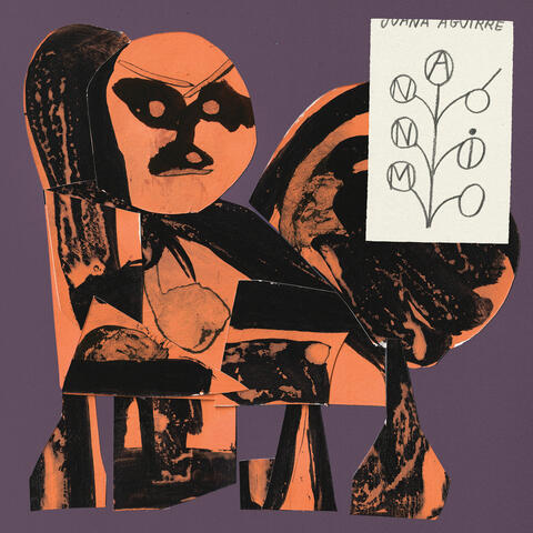 anónimo album art