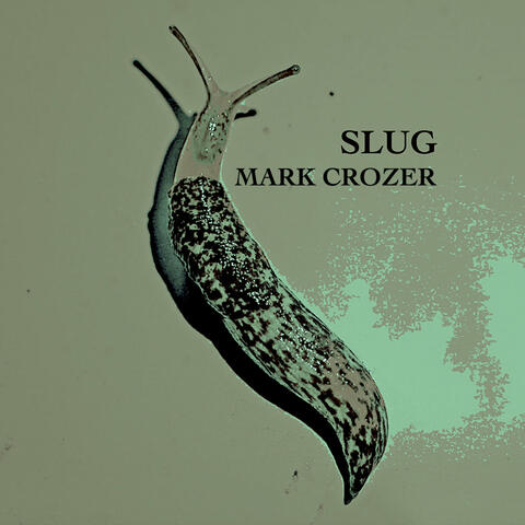 Slug album art