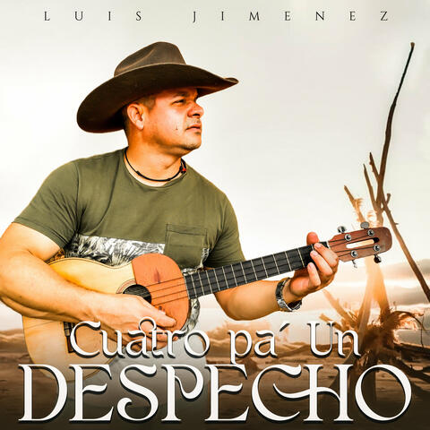 Cuatro Pa' Un Despecho album art