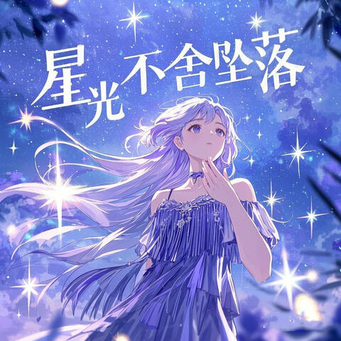 星光不舍坠落 album art