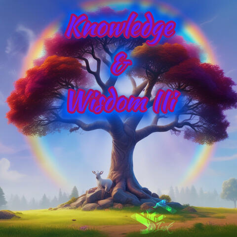 Knowledge & Wisdom Iii album art