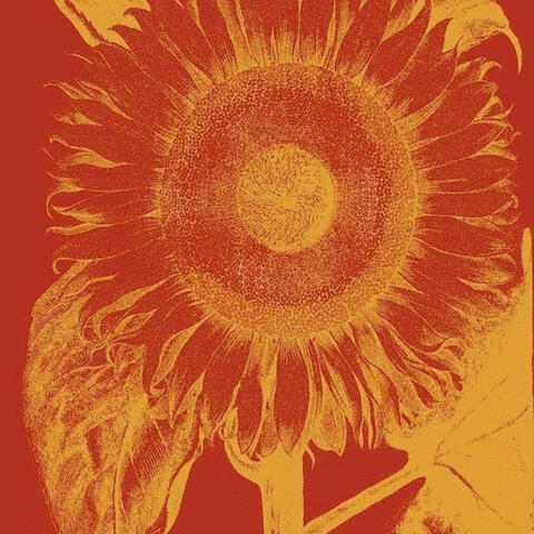 Five Elements album art
