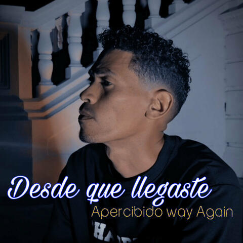 Desde que llegaste album art