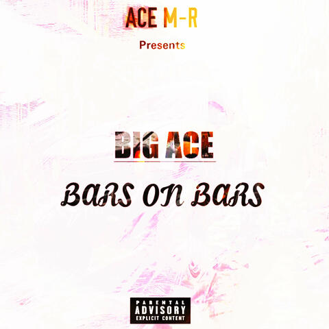 Bars on Bars album art