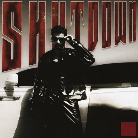 Shut Down album art