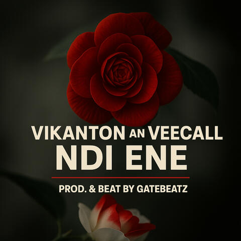 Ndi Ene album art