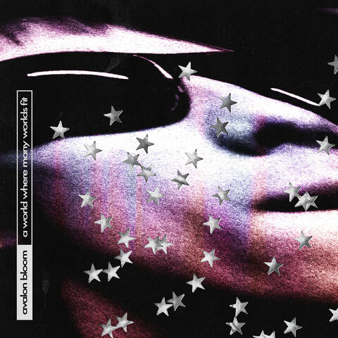 A World Where Many Worlds Fit album art