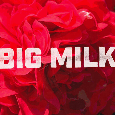 Big Milk album art