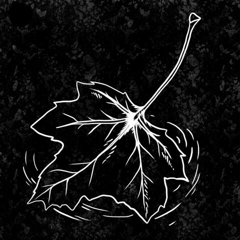 To Infertility and Beyond! album art