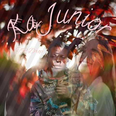Ka Junior album art