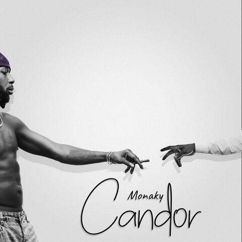 Chandelier album art