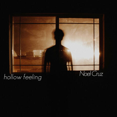 Hollow Feeling album art