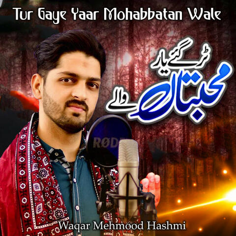 Tur Gaye Yaar Mohabbatan Wale album art