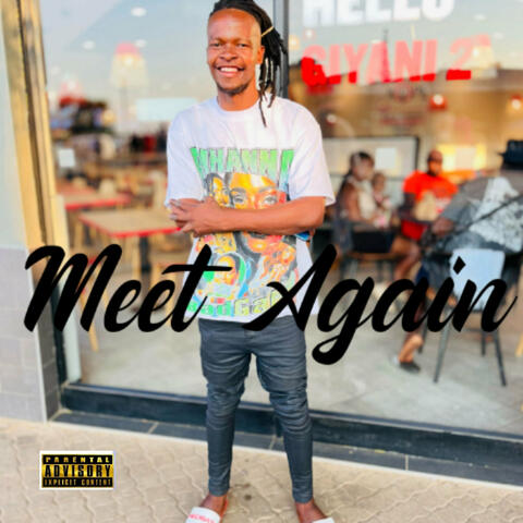 Meet Again album art