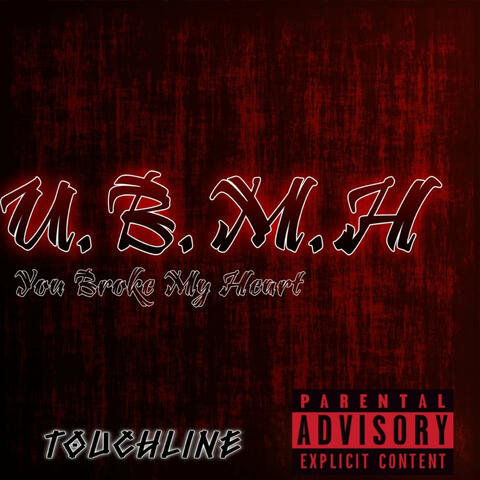You Broke My Heart album art