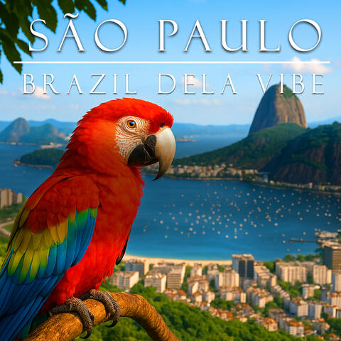 São Paulo album art