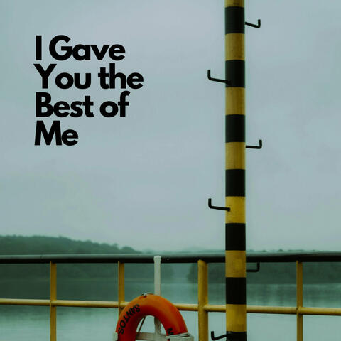 I Gave You the Best of Me album art