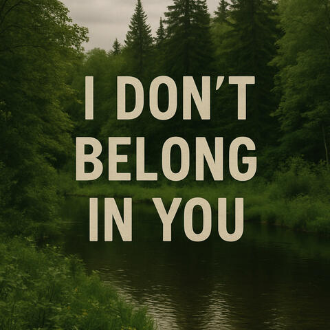 I Don't Belong in You album art