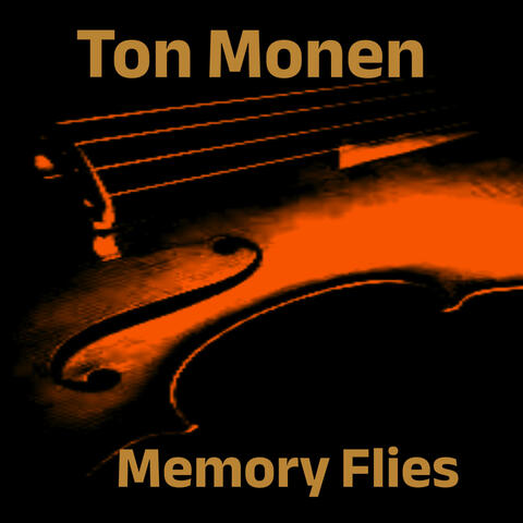 Memory Flies album art