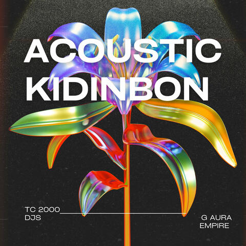 Acoustic kidinbon album art