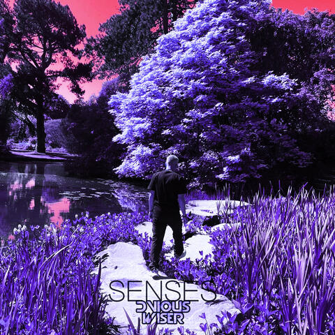Senses album art