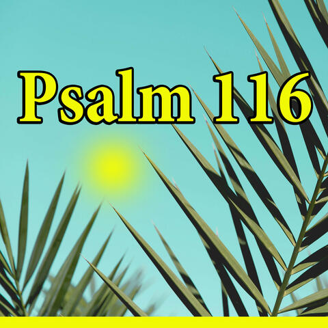 Psalm 116 album art