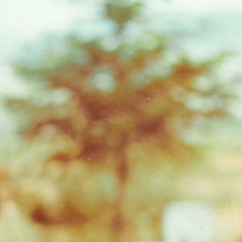 Plongée album art