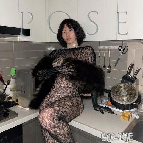 Pose album art
