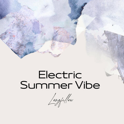 Electric Summer Vibe album art