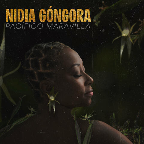 Pacífico Maravilla album art