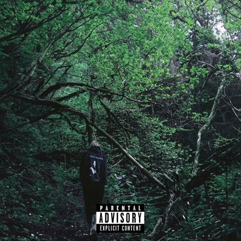 Breath Like This album art