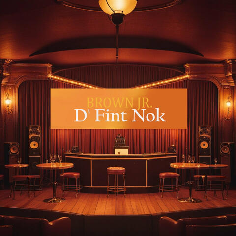 D' Fint Nok album art