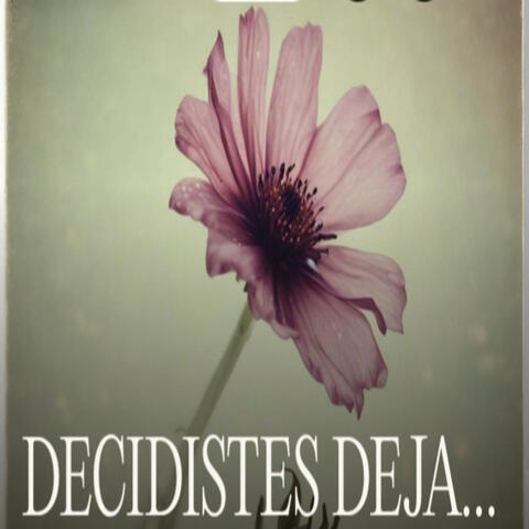 Decidistes Dejarme album art
