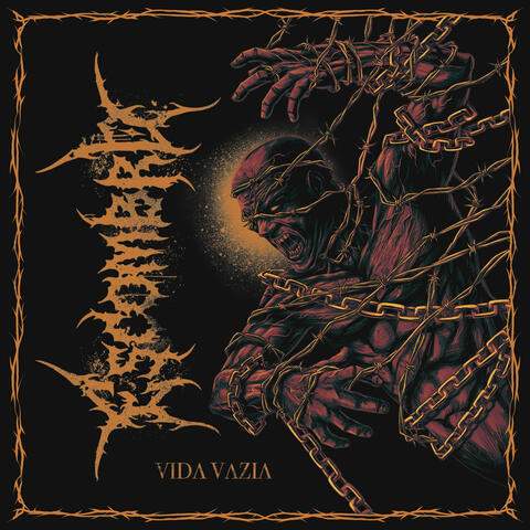 Vida Vazia album art