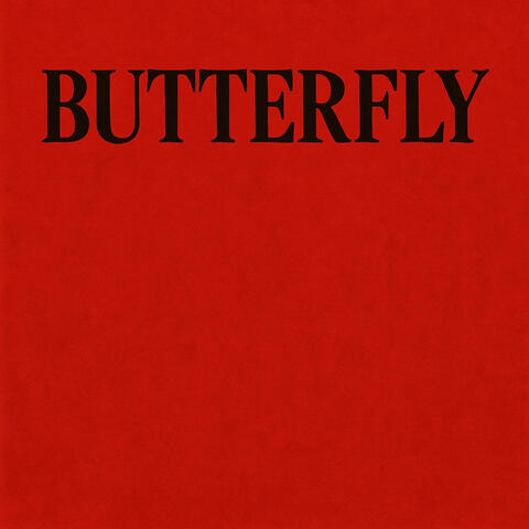 Butterfly (Instrumental) album art