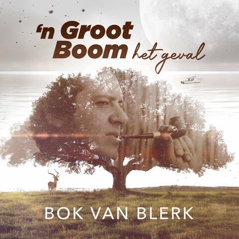 'n Groot Boom het geval album art
