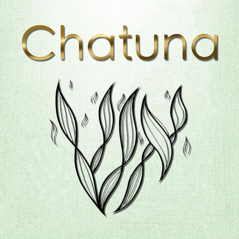 Chatuna album art
