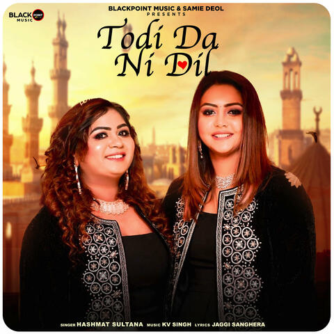 Todi Da Ni Dil album art