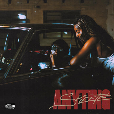 Anyting album art