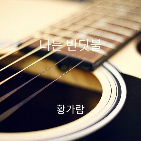 나는 반딧불 album art