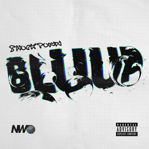 Bluup album art
